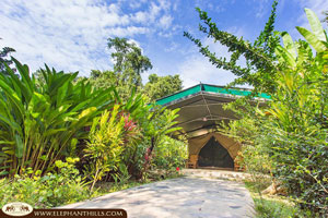 Elephant Hills Camp & schwimmendes Rainforest Camp