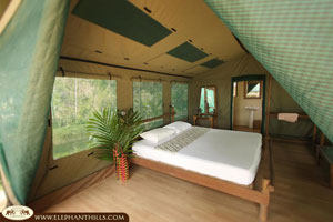 Elephant Hills Camp & schwimmendes Rainforest Camp