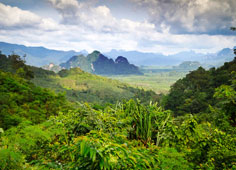Thailand Urlaub Dschungel und Schnorchelkreuzfahrt