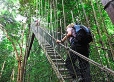 Malaysias Naturhighlights - Rundreise Taman Negara, Cameron Highlands, Penang & Langkawi